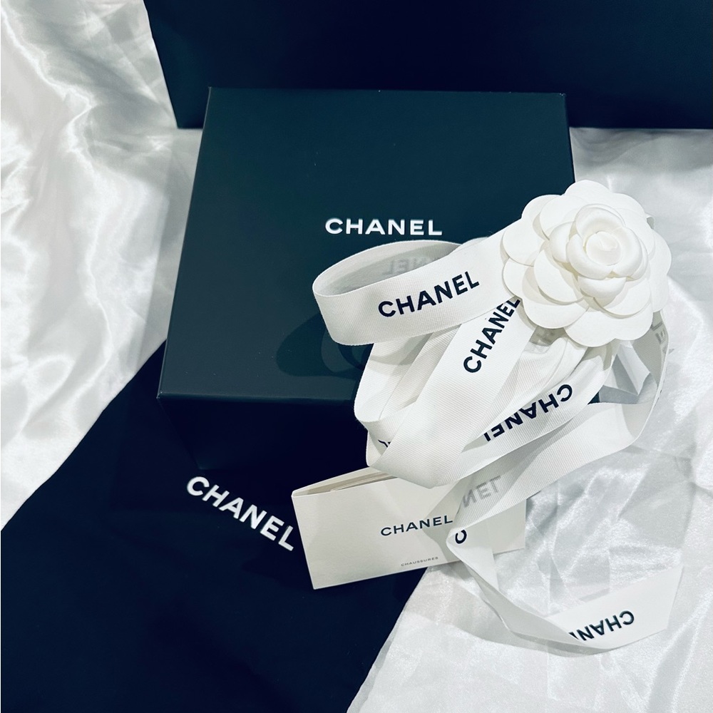 Chanel clutch with a chain box